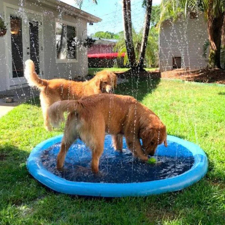 Doggie Splash Pad