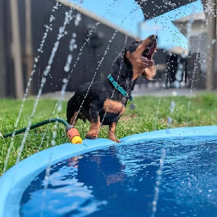 Doggie Splash Pad