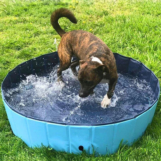 Luxury Portable Dog Pool